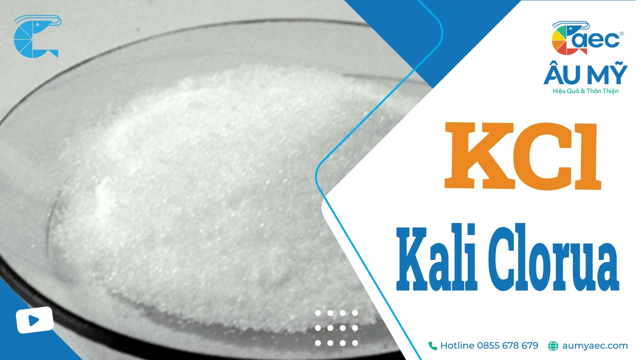 KCl có phải là acid không? Gallery 2