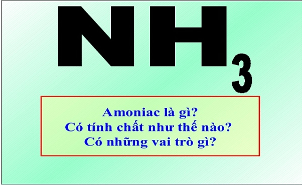 NH3 là khí gì? Gallery 1