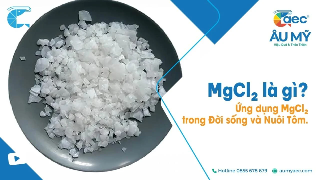 MgCl2 là muối gì? Gallery 1