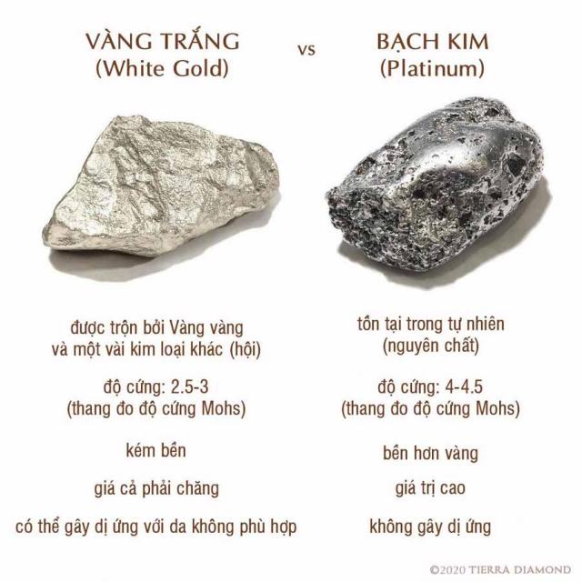 Platinum là chất gì? Gallery 1