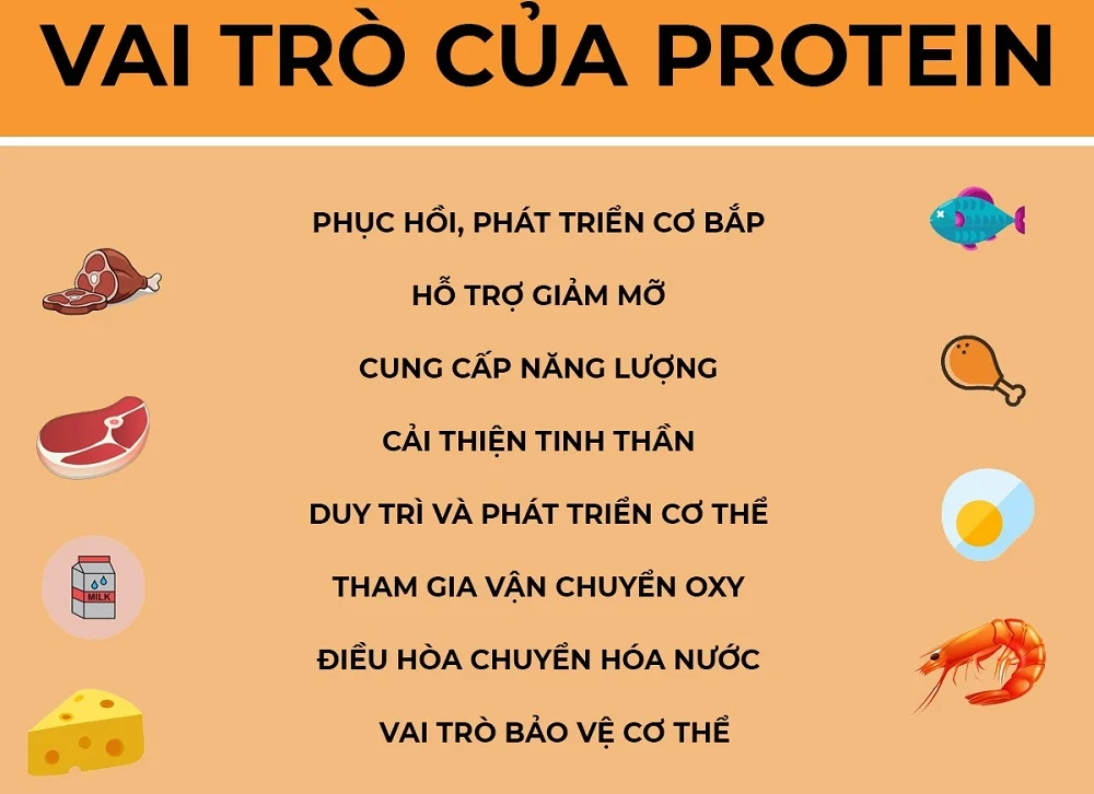 Tính chất của Protein