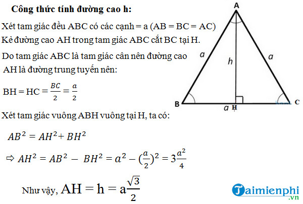 Tính chất đường cao tam giác đều