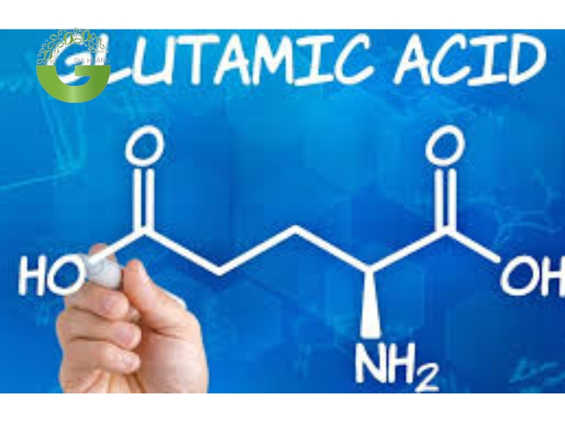 Axit Glutamic Là Chất Có Tính Gì? Gallery 2