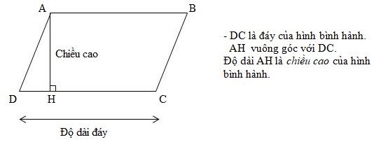 Tính Diện Tích Hình Bình Hành Có Độ Dài Đáy