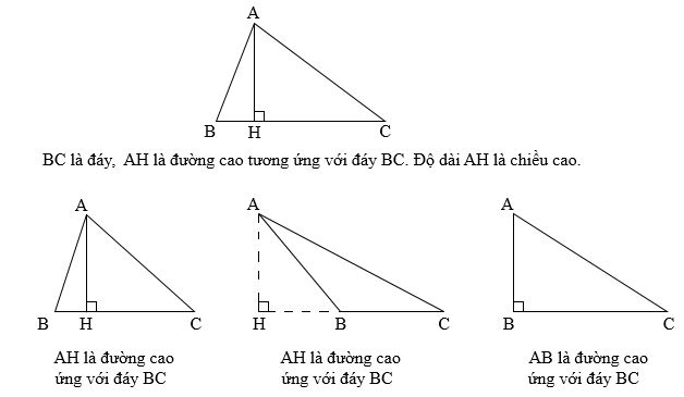 Tính Độ Dài Đáy Hình Tam Giác
