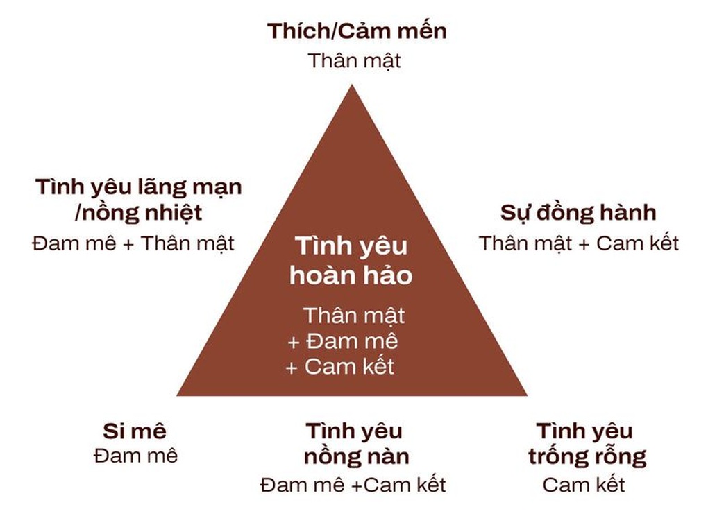 Tình Đồng Chí Trong Tình Yêu Là Gì?
