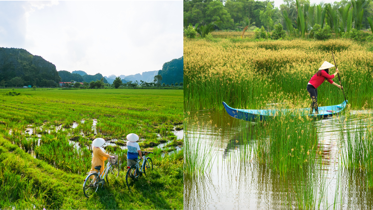 Tìm hiểu suy nghĩ và viết bài về tình hình địa phương Gallery 2