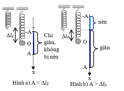 Tính Lực Đàn Hồi