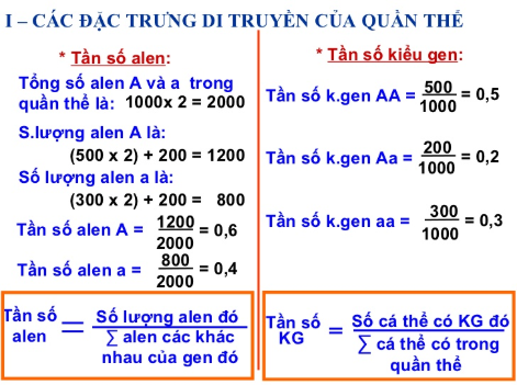 Tần số alen là gì?