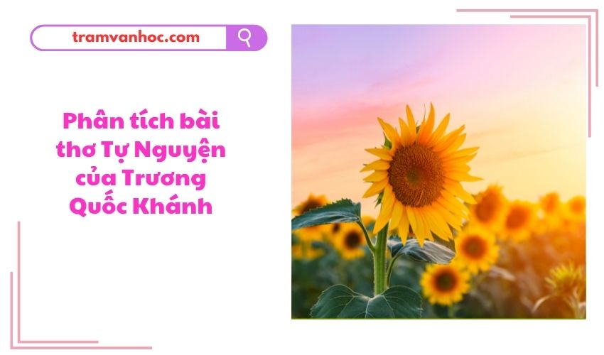 Cảm nhận về bài thơ Tự nguyện Gallery 1