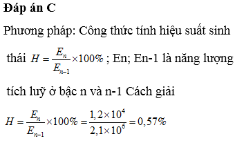 Hiệu suất sinh thái là gì? Gallery 2