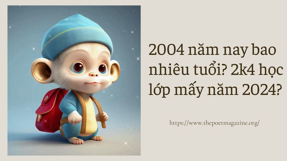 2004 Học Lớp Mấy 2023? Gallery 1