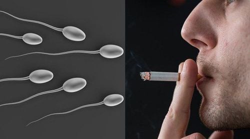 Tinh Trùng Có Vị Gì?
