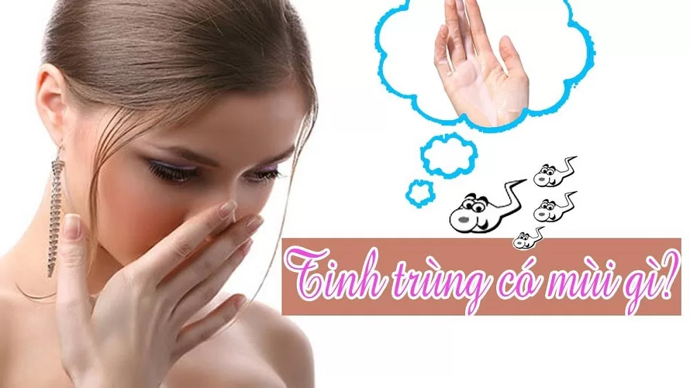 Tinh Trùng Có Vị Gì? Gallery 2