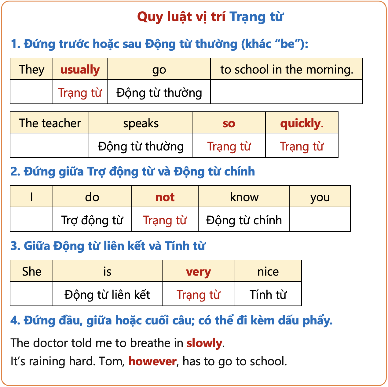 Tính Từ và Động Từ: Sự Khác Biệt và Cách Sử Dụng