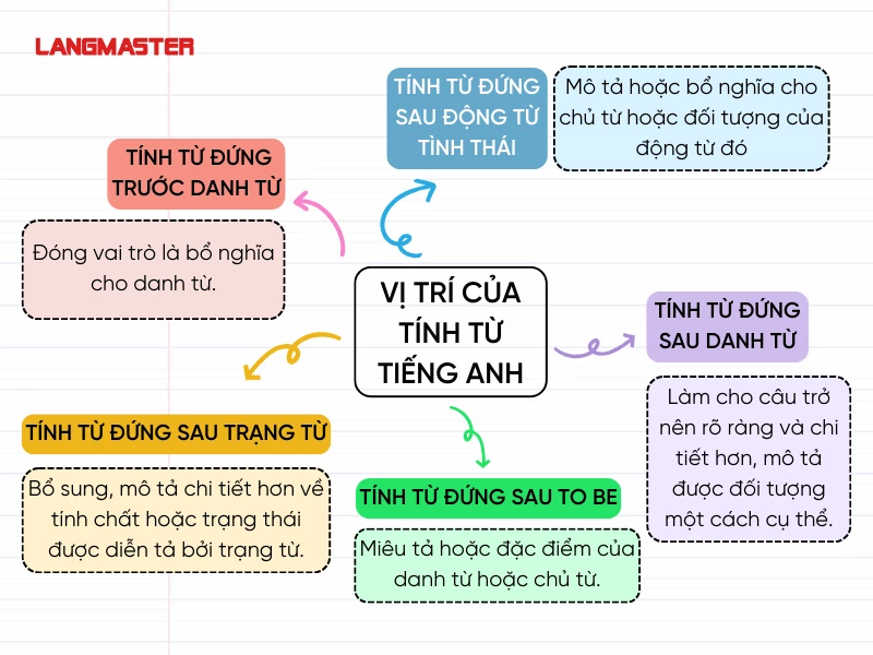 Tính Từ Đứng Ở Đâu?