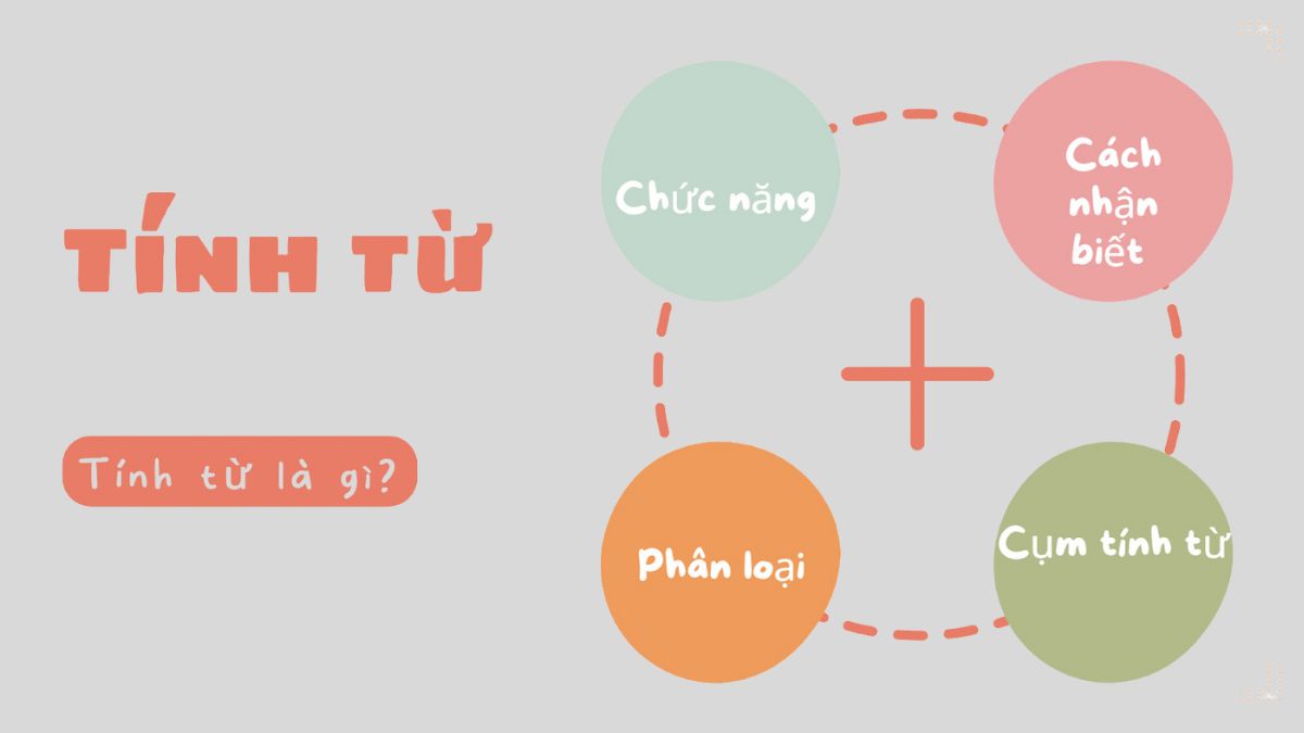 Tinh Từ Là Gì?