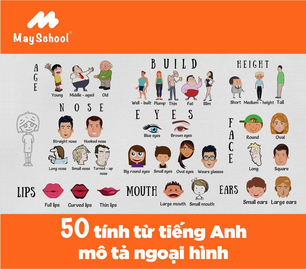 Từ điển tính từ tả người: Hơn 100 tính từ miêu tả ngoại hình, tính cách và phẩm chất con người Gallery 1