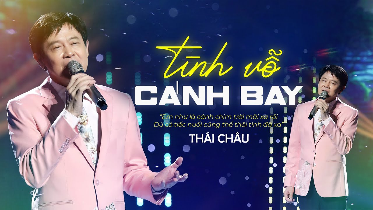 Tình Vỗ Cánh Bay Gallery 2