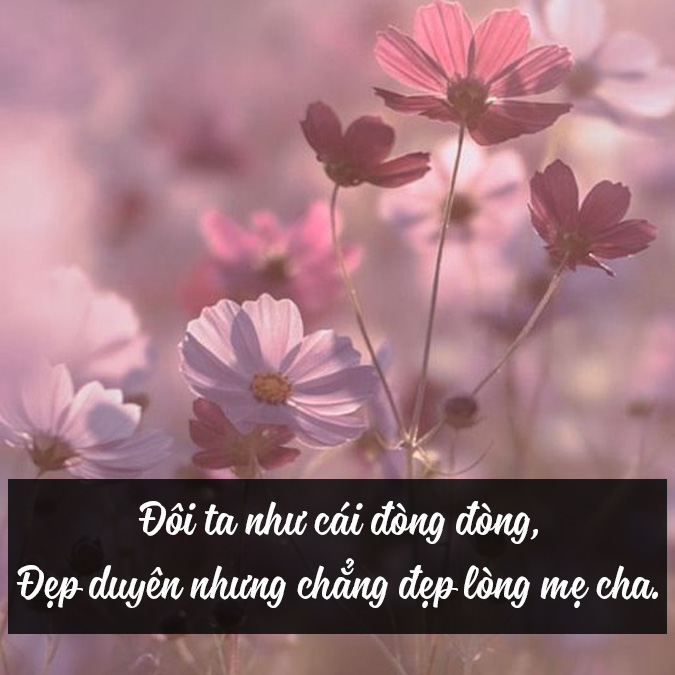 Ca Dao Tục Ngữ Về Tình Yêu Đôi Lứa: Lời Yêu Thầm, Tình Chung Thủy Gallery 1