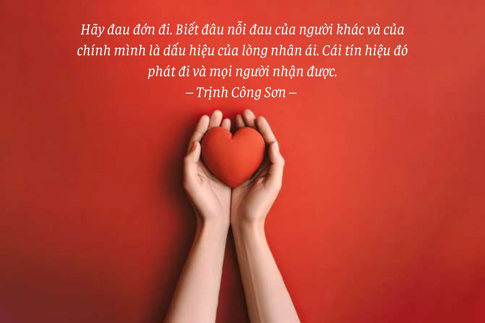 Vẻ đẹp tâm hồn Phương Định Gallery 2