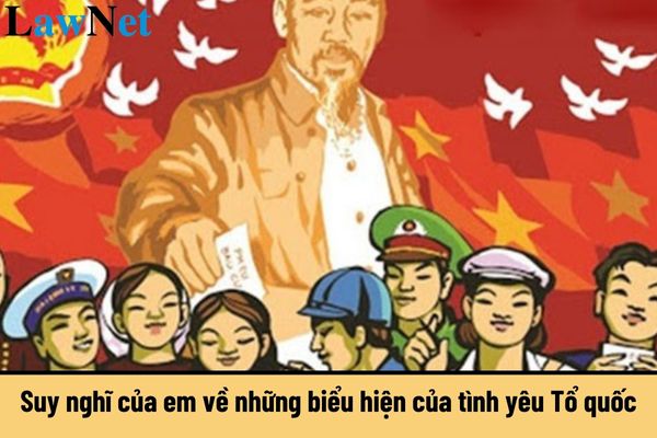 Tình Yêu Tổ Quốc Là Gì?