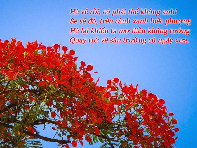 Thơ 8 Chữ Hay Về Tình Yêu Gallery 1