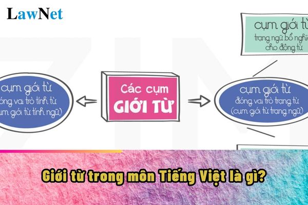 To Là Gì Trong Tiếng Việt?