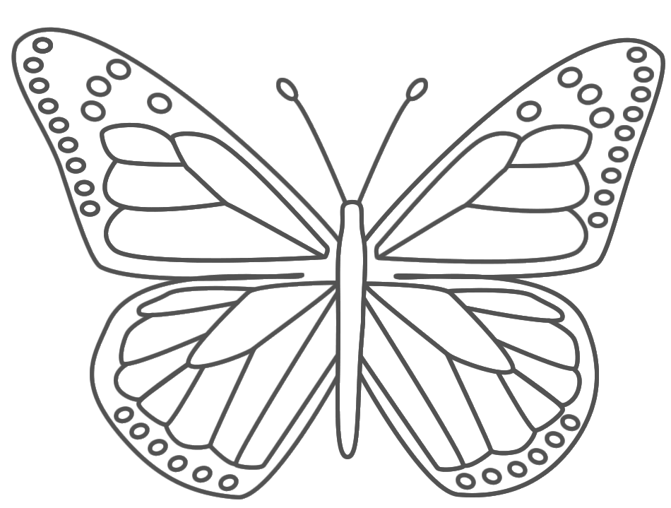 Tô Màu Con Bướm