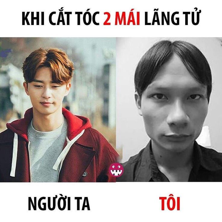 Tóc Hai Mái Meme: Nguồn Gốc, Ý Nghĩa và Sự Phát Triển
