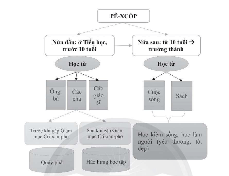Tôi đã học tập như thế nào