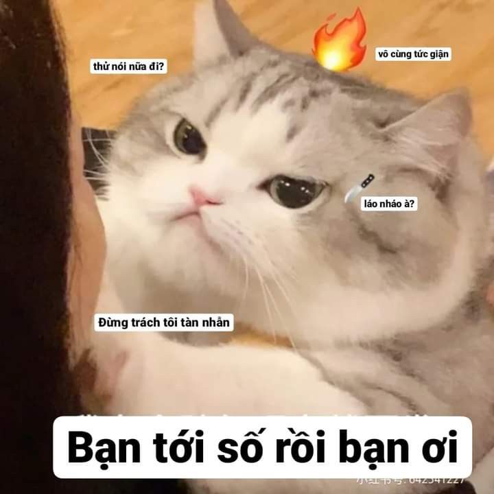 Tôi Giận Bạn Rồi Gallery 2