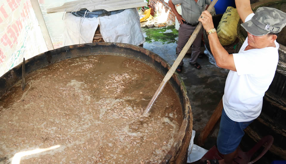 Tôi Thấy Nhớ Cái Mùi Nồng Mặn Quá