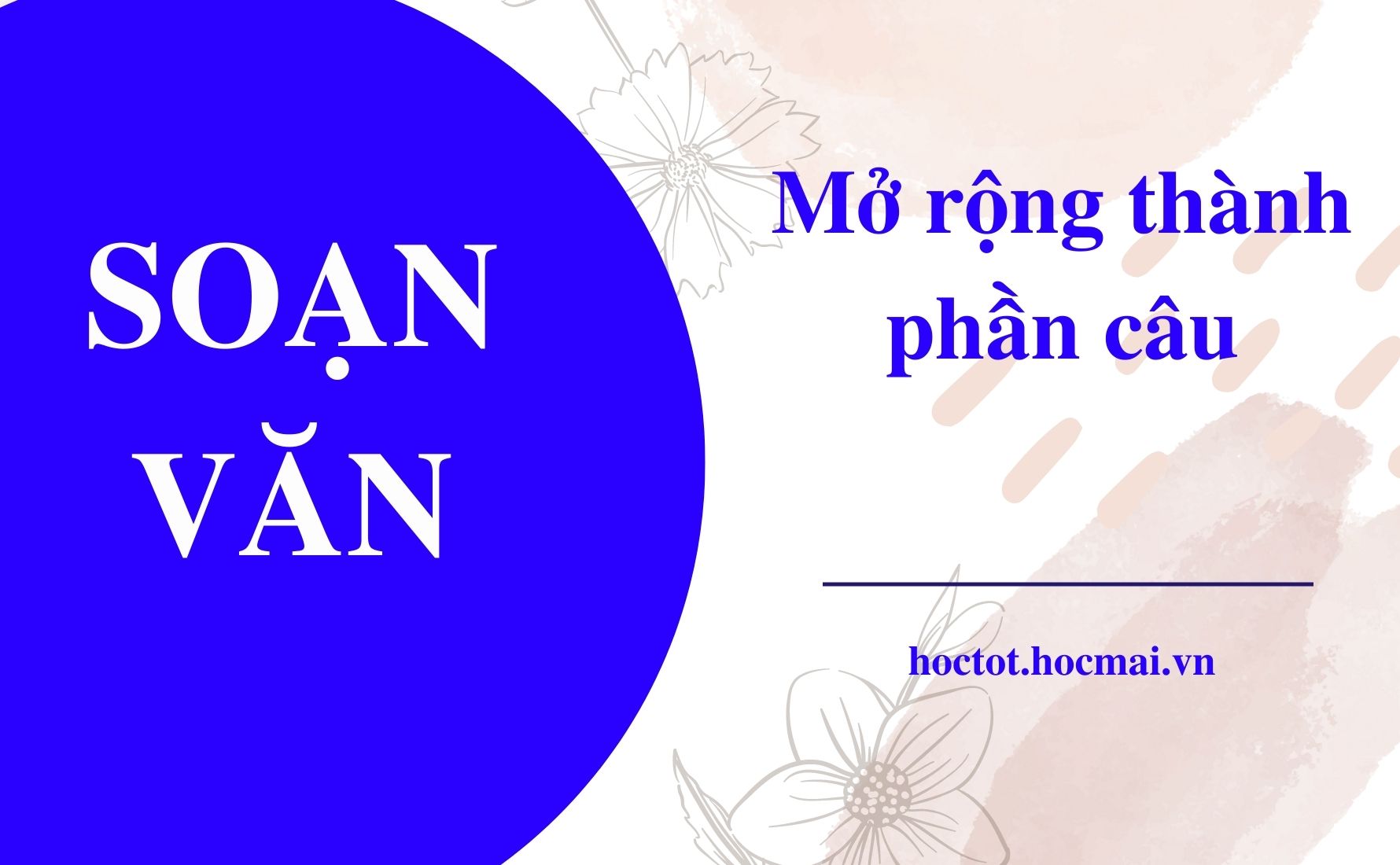 Cách viết bài viết chuẩn SEO với câu đơn mở rộng thành phần Gallery 1