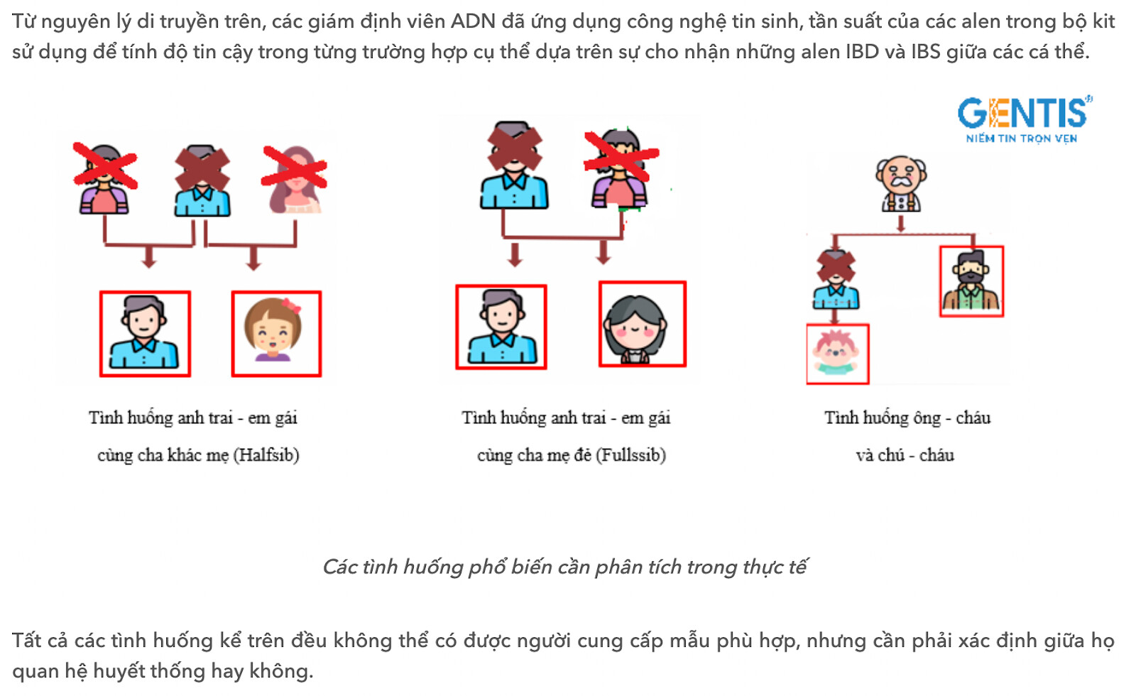 Viết Bài Chuẩn SEO: Hướng Dẫn Nhanh & Hiệu Quả Gallery 1
