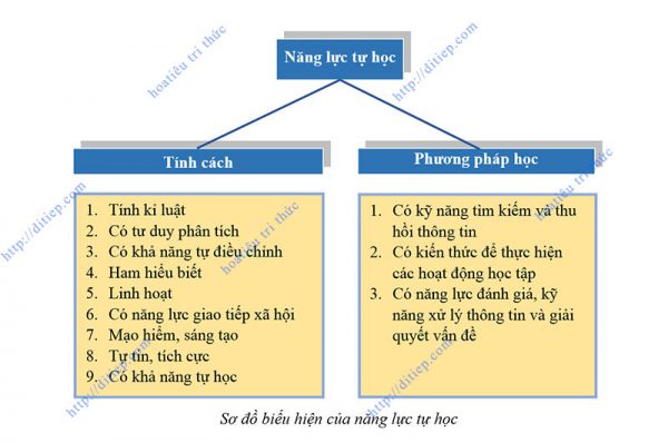 Biểu Hiện Của Tự Học Gallery 2