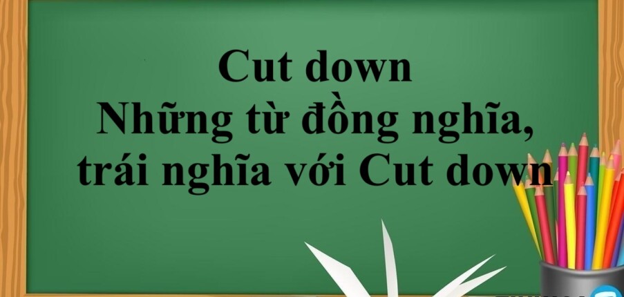 Cutting Down On Là Gì? Gallery 2