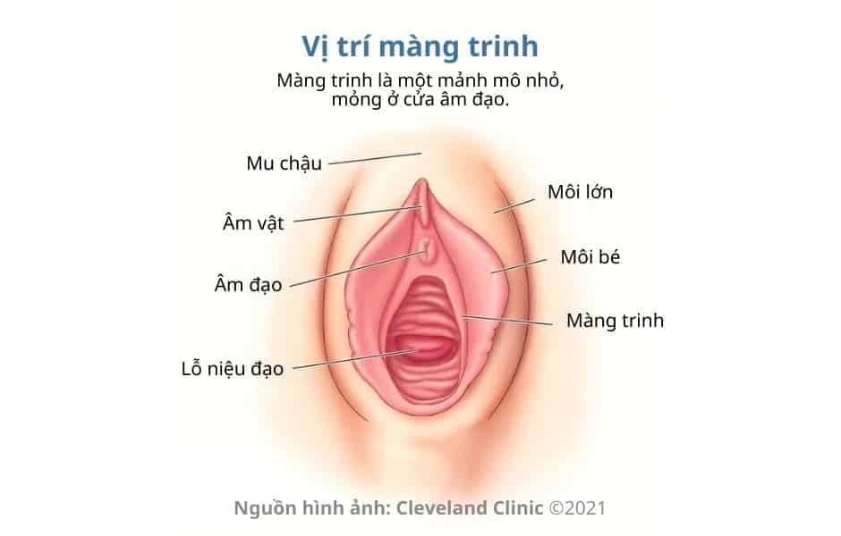 Màng trinh có dễ rách không? Gallery 2