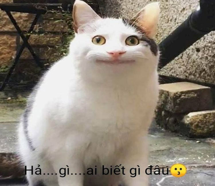 Meme "Gì Ai Biết Đâu" là gì? Gallery 2