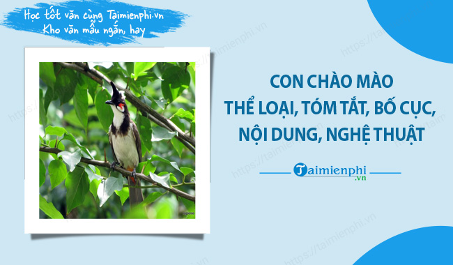 Tóm tắt Bài Con Chào Mào Gallery 2