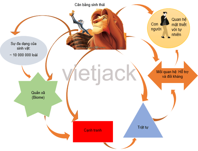 Tóm tắt bằng sơ đồ nội dung của một văn bản đơn giản