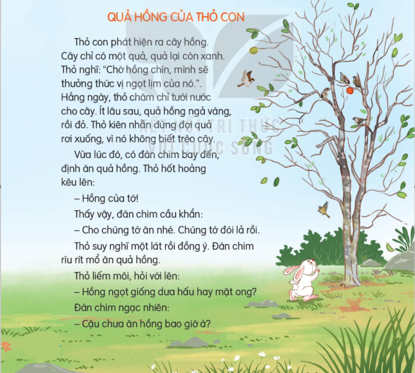Truyện Quả Hồng Của Thỏ Con Gallery 1