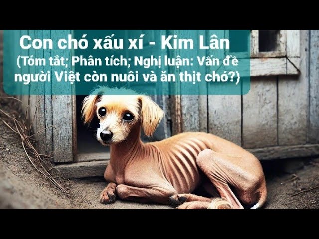 Tóm tắt Con Chó Xấu Xí Gallery 2