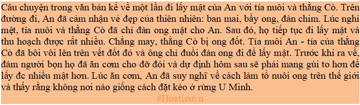 Tóm tắt Đất rừng Phương Nam Ngữ Văn 10