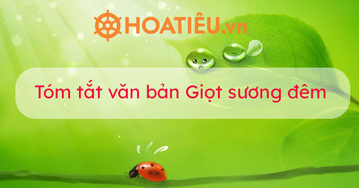 Tóm tắt Giọt Sương Đêm Gallery 2