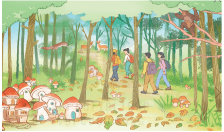 Câu Trả Lời Bài Kì Diệu Rừng Xanh Chi Tiết Gallery 1