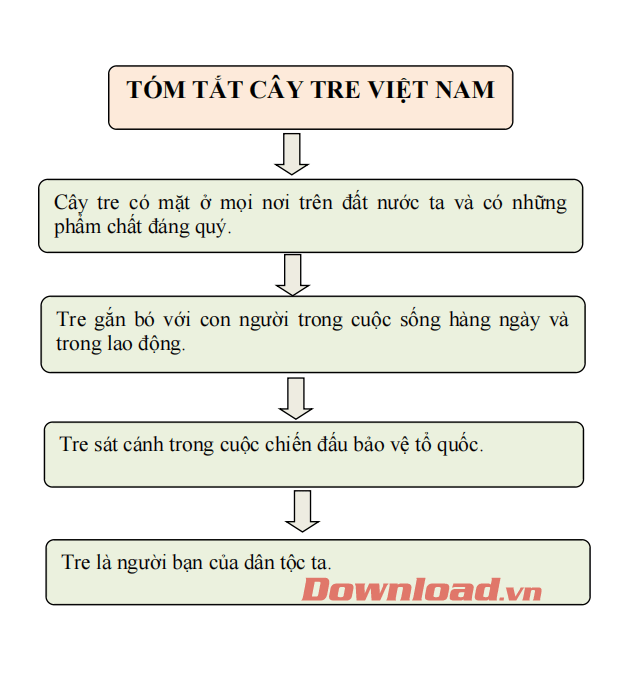 Soạn Văn 6: Cây Tre Việt Nam Gallery 1