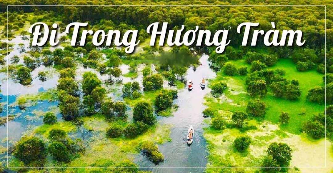 Soạn Bài Đi Trong Hương Tràm Gallery 1