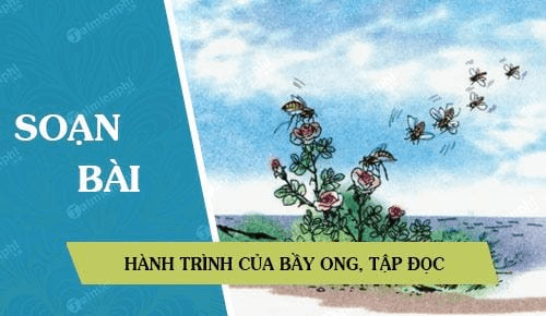 Hành Trình Của Bầy Ong - Tóm Tắt, Phân Tích & Bài Học Gallery 1