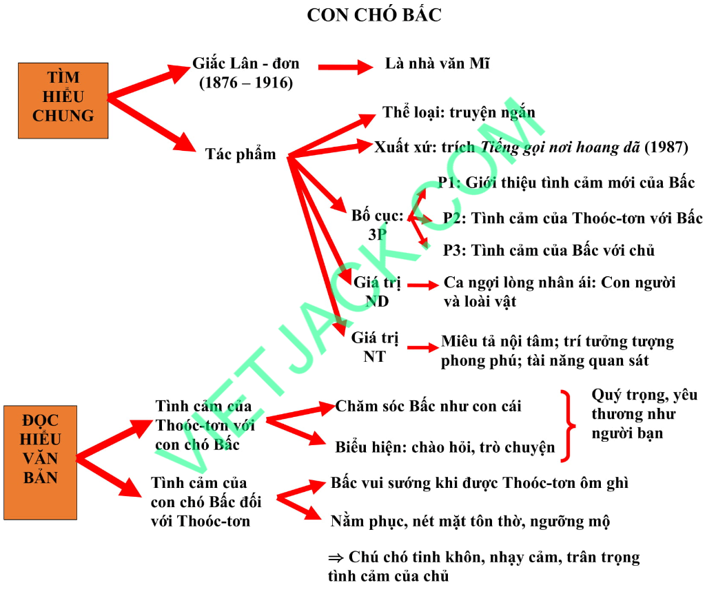 Soạn Bài Con Chó Bấc Gallery 1